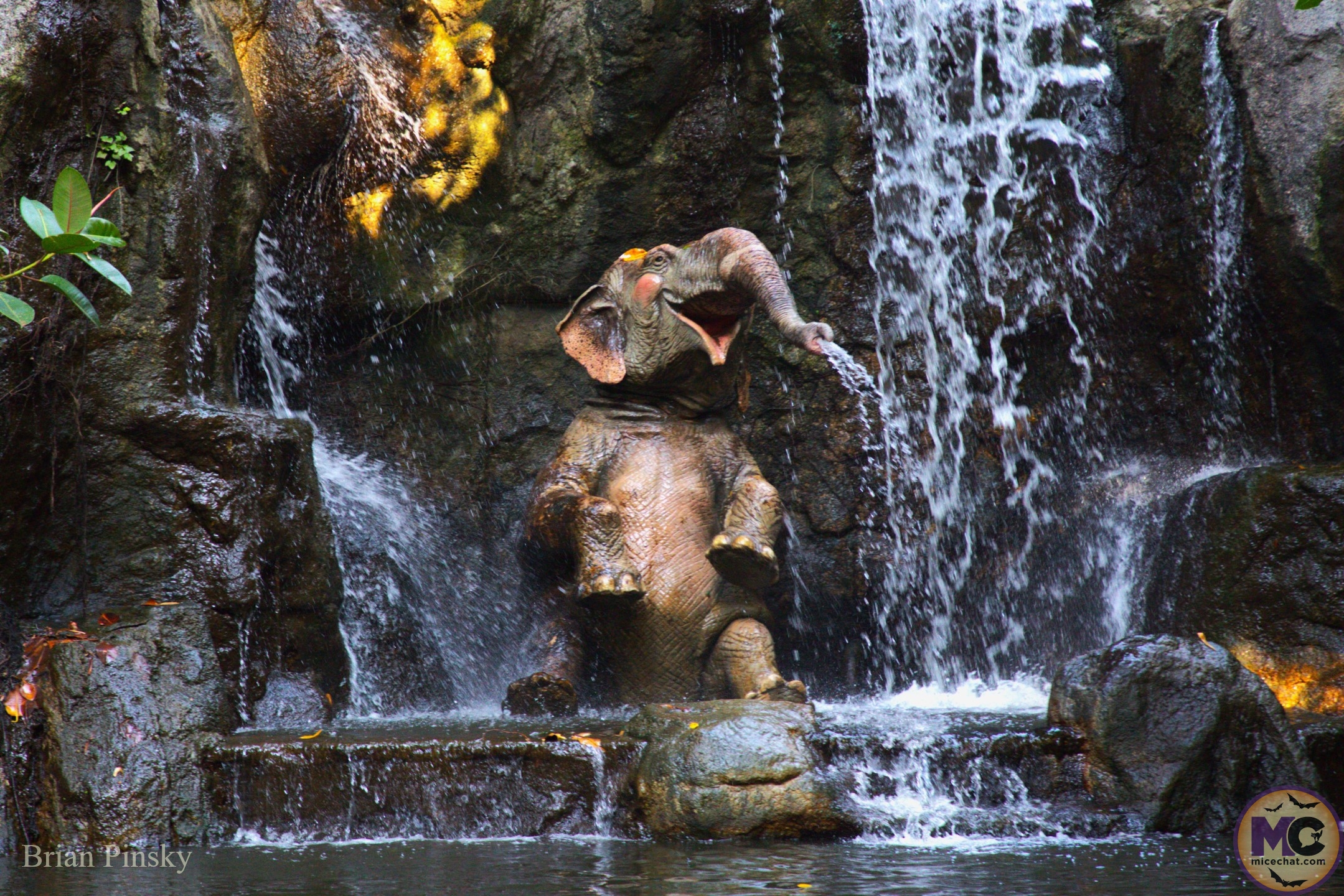 , DISNEYLAND UPDATE: Star Wars Redo, Tiana&rsquo;s Debut & Construction in View!