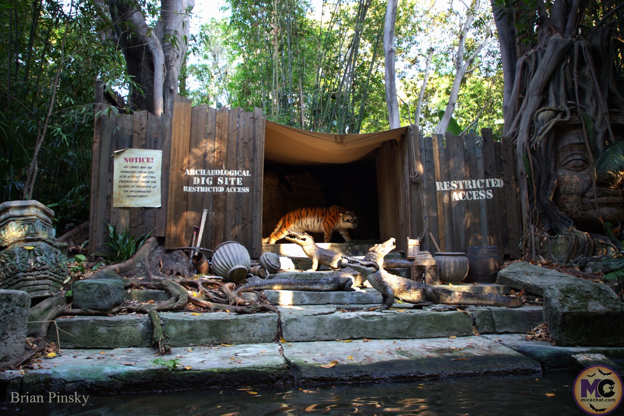 , DISNEYLAND UPDATE: Star Wars Redo, Tiana&rsquo;s Debut & Construction in View!