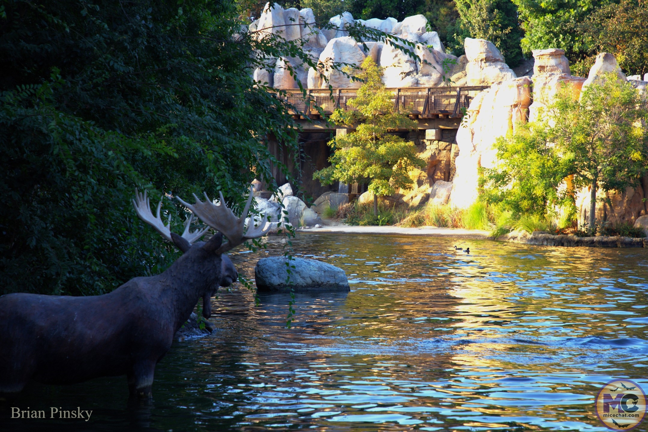 , DISNEYLAND UPDATE: Star Wars Redo, Tiana&rsquo;s Debut & Construction in View!