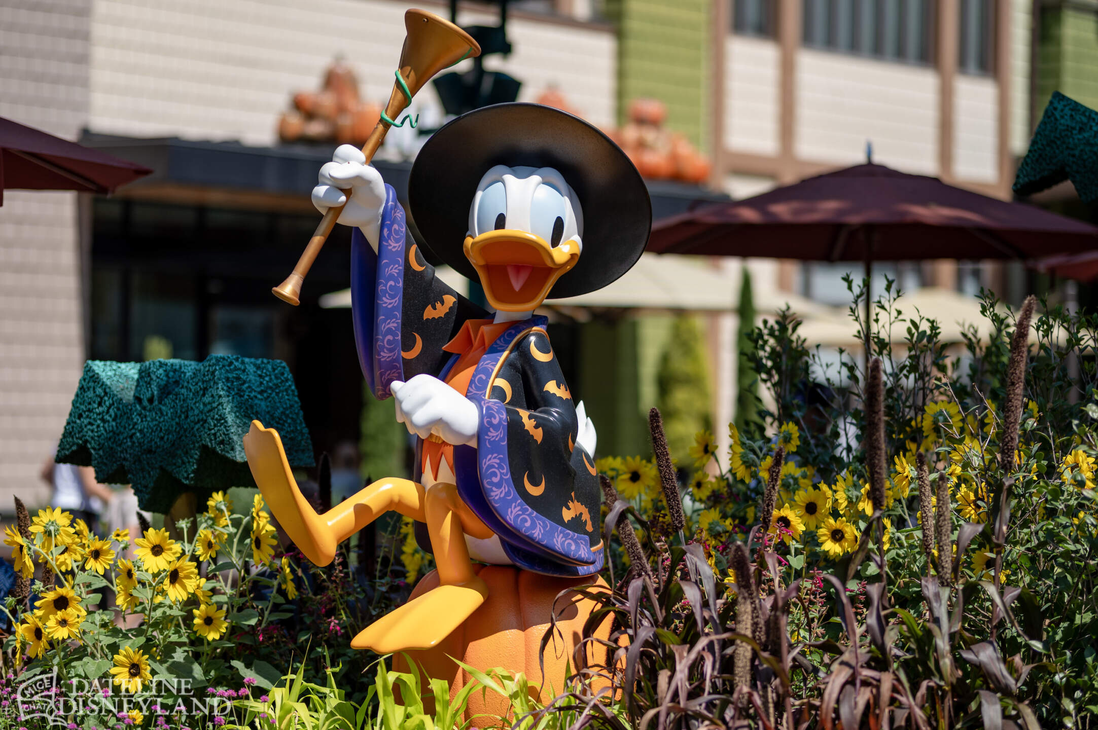 Disneyland, DISNEYLAND UPDATE: Running on Fumes, Raising Steel, and a Fond Farewell to Tinker Bell