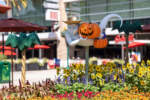 Downtown Disney Halloween Time decorations ghost DSC_4774-X5