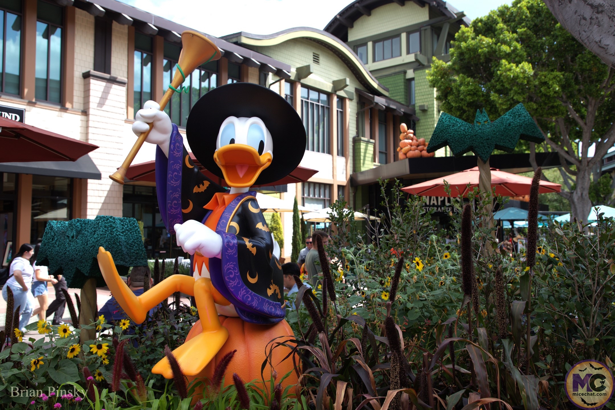 , DISNEYLAND UPDATE: Star Wars Redo, Tiana&rsquo;s Debut & Construction in View!