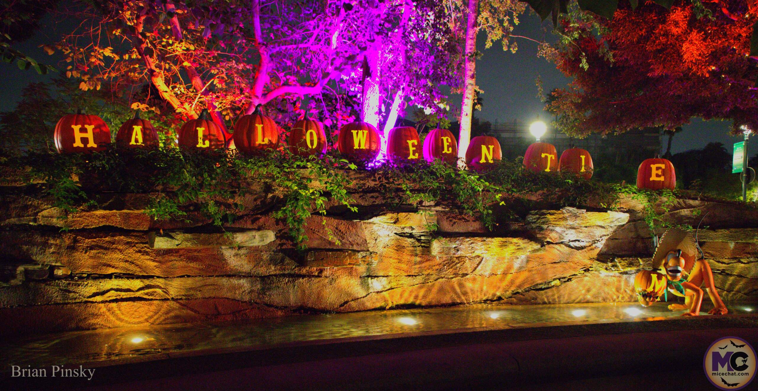 , DISNEYLAND UPDATE: Star Wars Redo, Tiana&rsquo;s Debut & Construction in View!