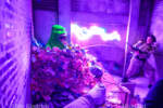 Universal Studios Hollywood_Halloween Horror Nights_Ghost Busters5