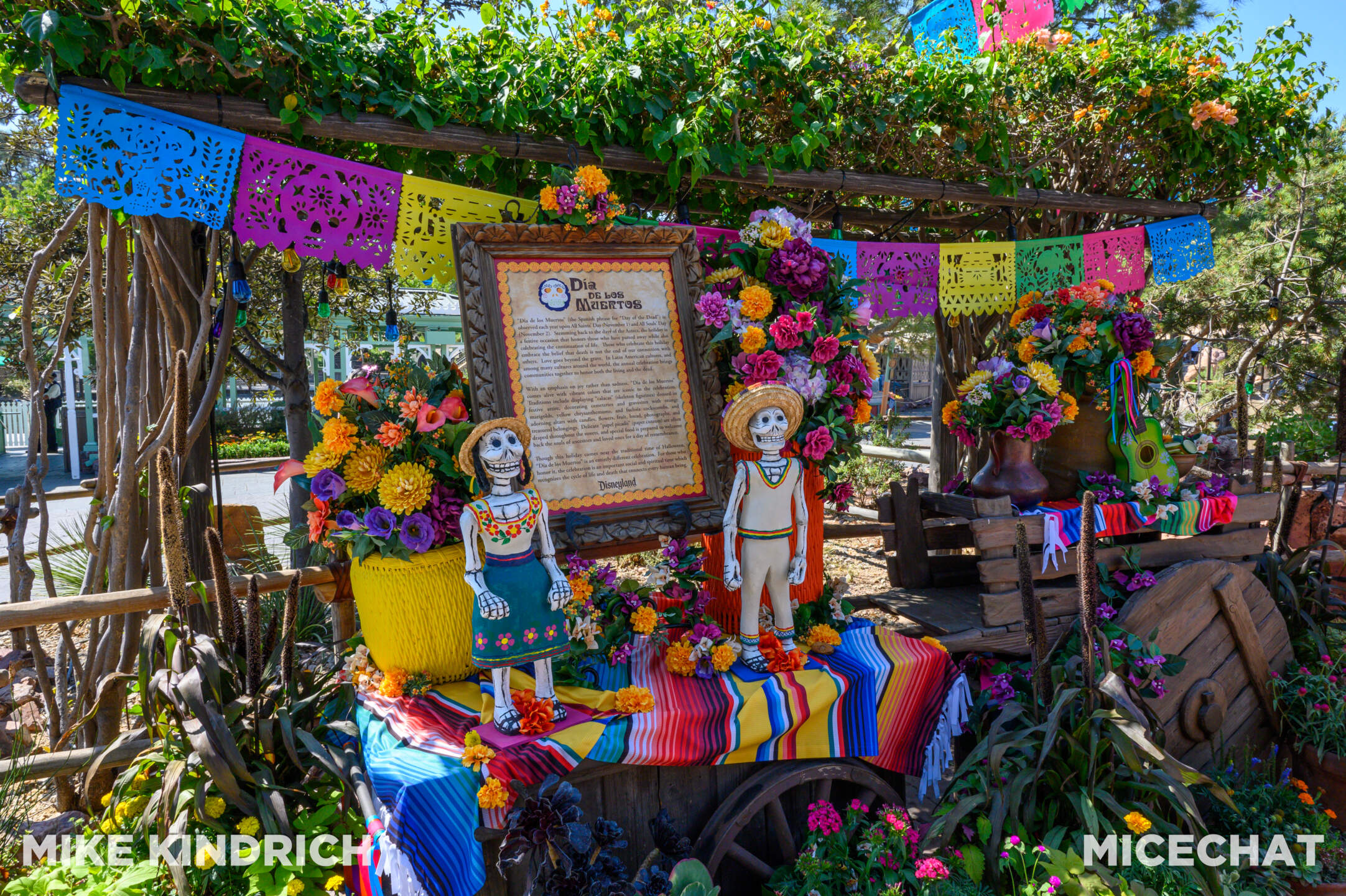 , DISNEYLAND UPDATE: Haunts, Heat & Halloween Treats!