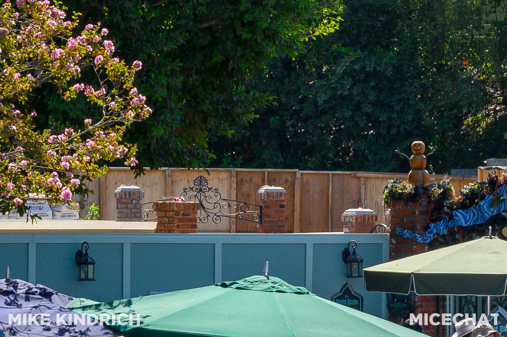, DISNEYLAND UPDATE: Haunts, Heat & Halloween Treats!