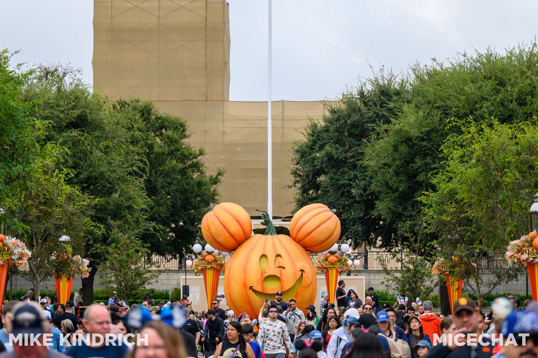 , DISNEYLAND UPDATE: Fall Fun, Packed Parks & Monorail Magic!