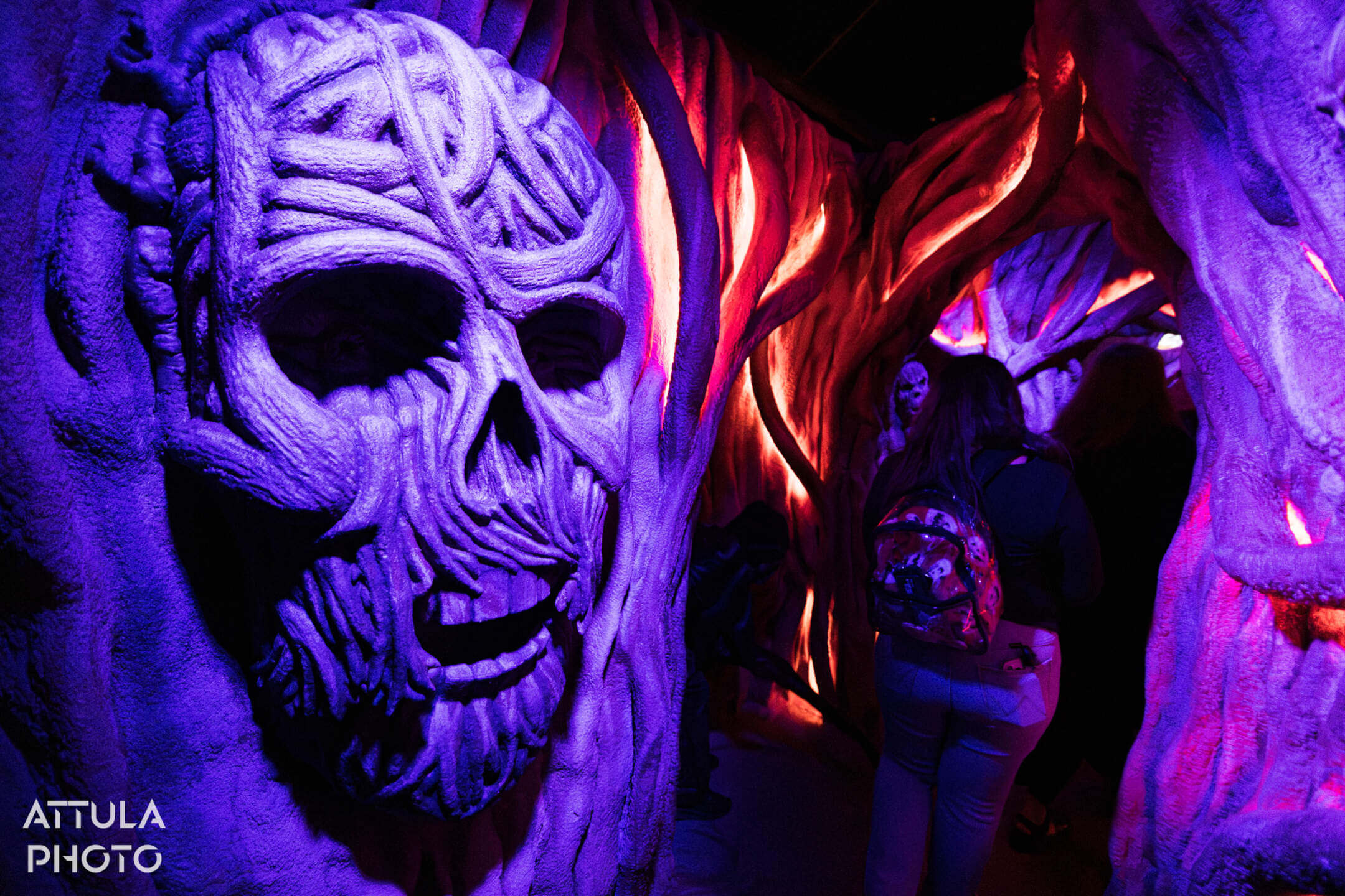 , The Secrets Behind Knott’s Twisted Fairytale: Eight Fingers Nine