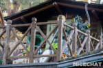 007_Disneyland_Critter Co-Op