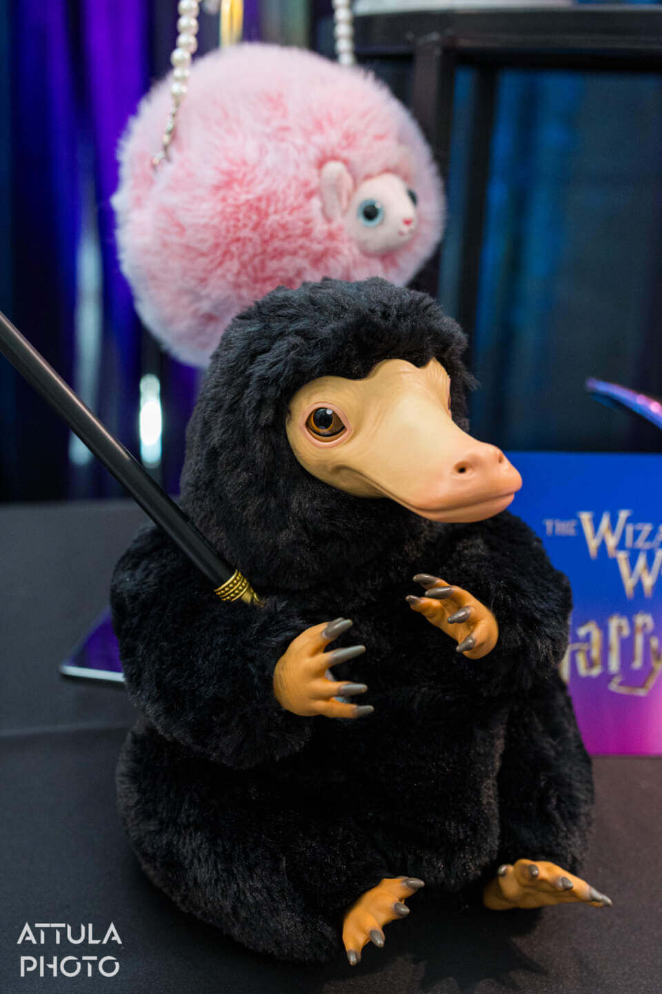 Fan Fest, Universal’s Fan Fest Nights: Fandoms Unite for an Epic New Adventure
