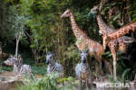 013_Disneyland_Jungle Cruise