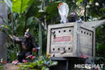 015_Disneyland_Jungle Cruise