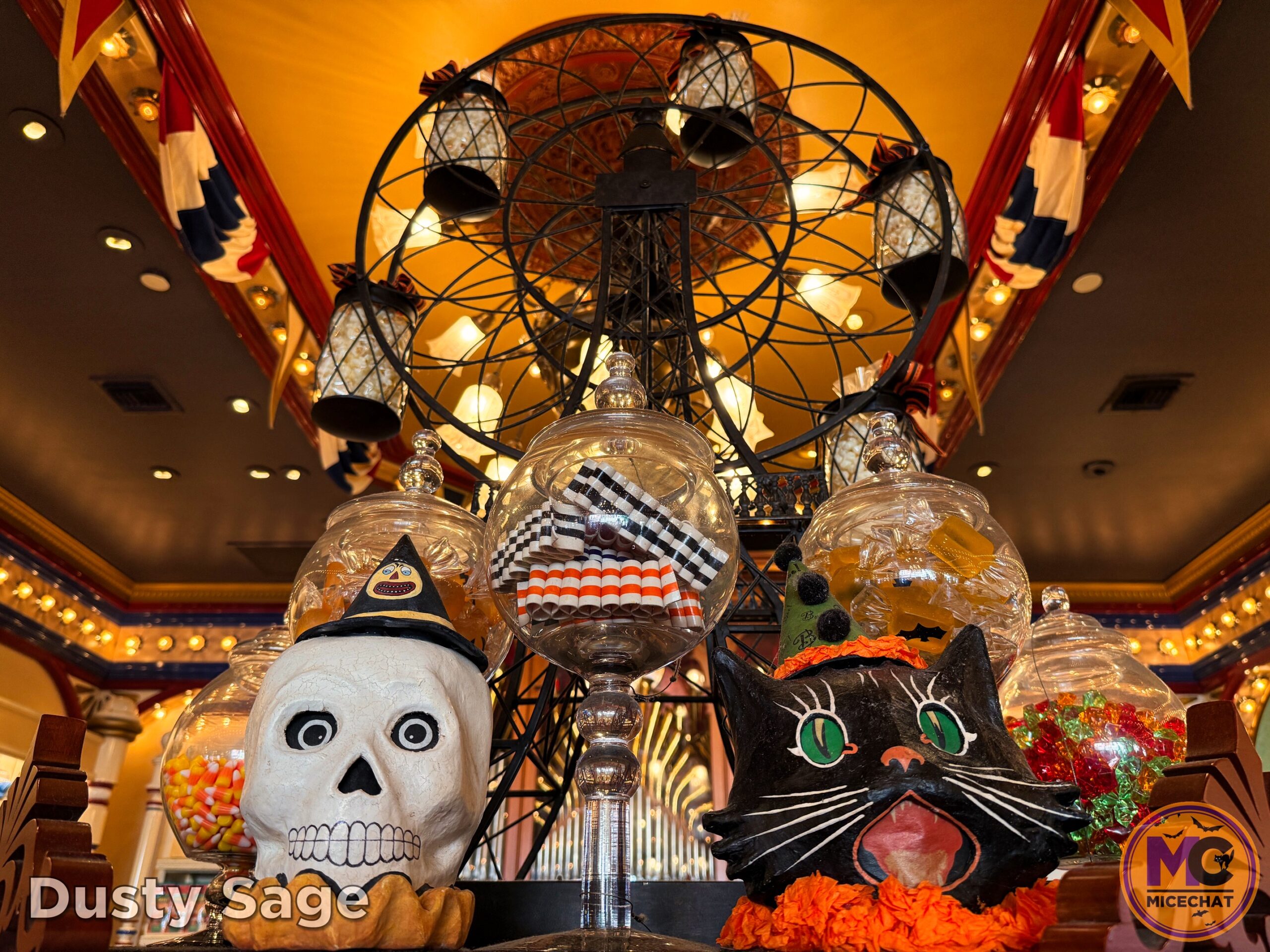 , DISNEYLAND UPDATE: Night Lights Delight, Price Spike & Bayou Hype