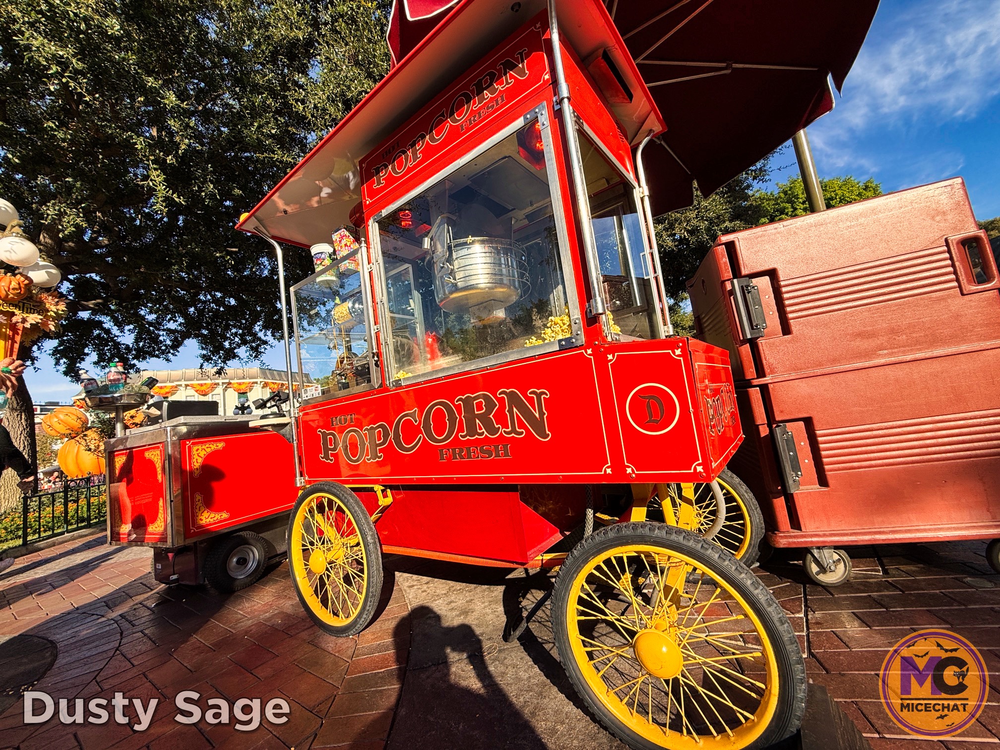 , DISNEYLAND UPDATE: Night Lights Delight, Price Spike & Bayou Hype