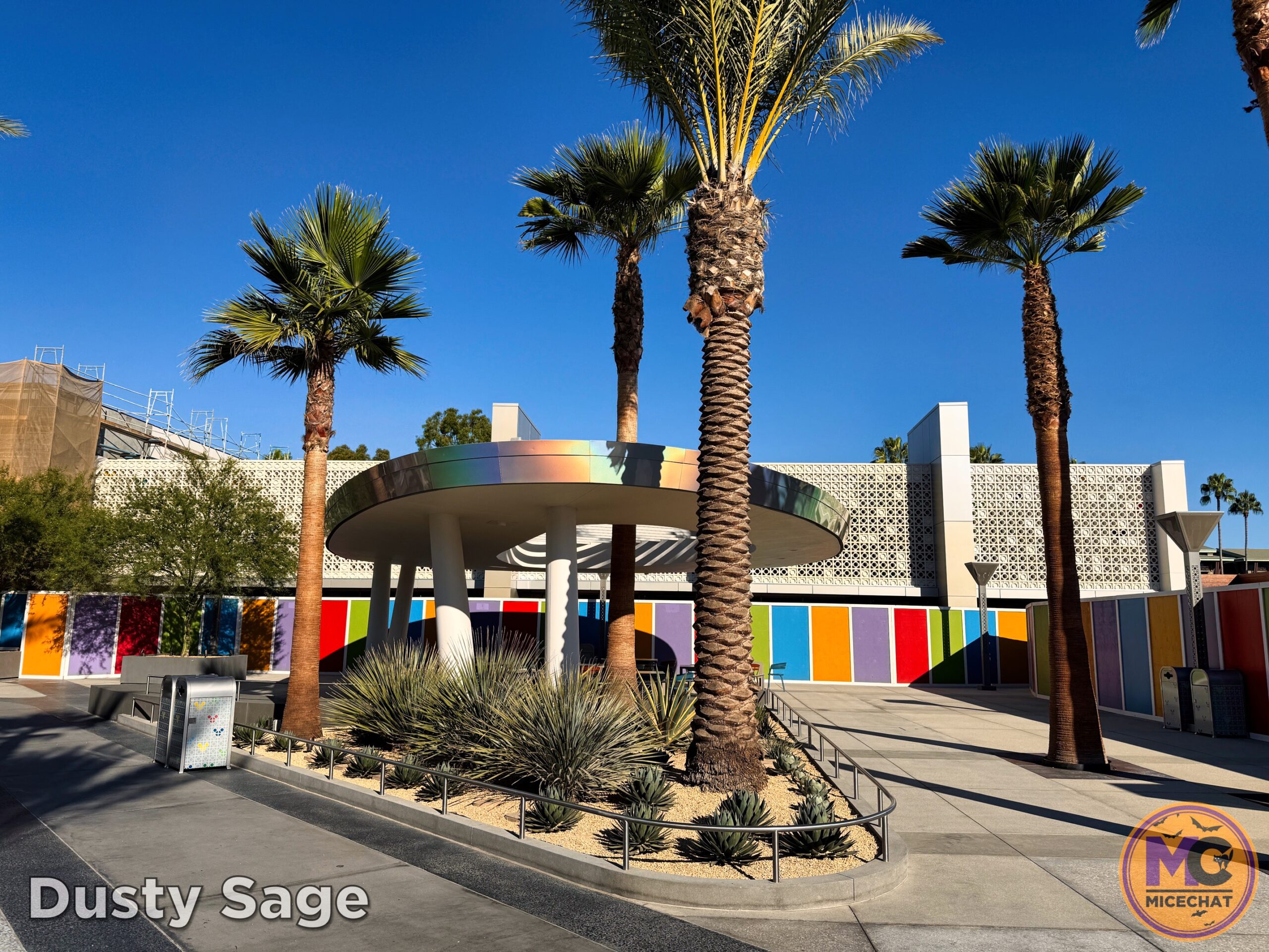 , DISNEYLAND UPDATE: Night Lights Delight, Price Spike & Bayou Hype