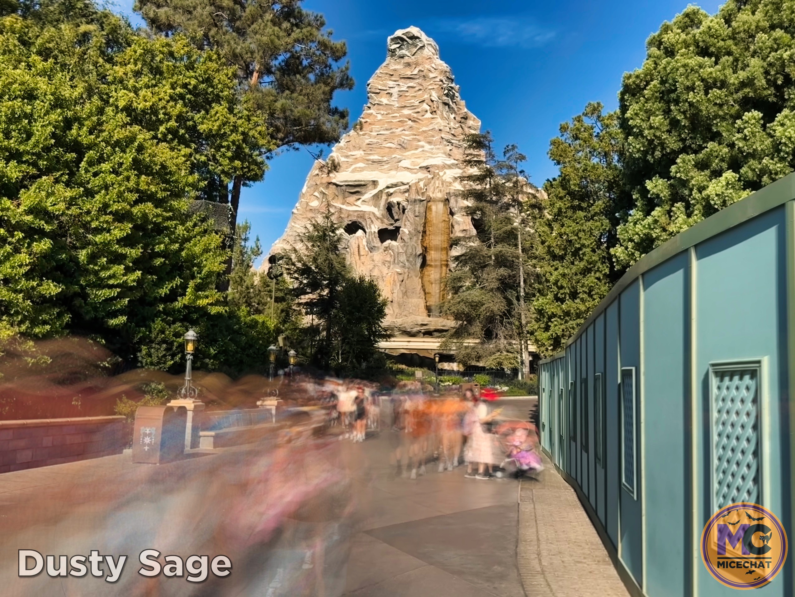 , DISNEYLAND UPDATE: Night Lights Delight, Price Spike & Bayou Hype