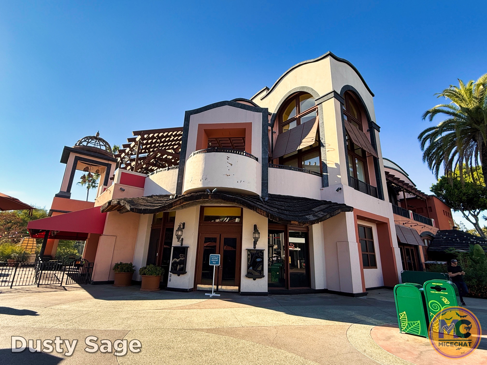 , DISNEYLAND UPDATE: Night Lights Delight, Price Spike & Bayou Hype