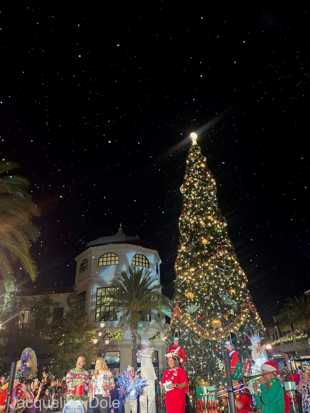 Disney Springs Tree Lighting 2024