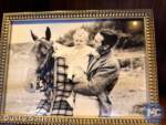 Disney-Vacation-Club-Member-Cruise-Walt Disney Horses- MiceChat