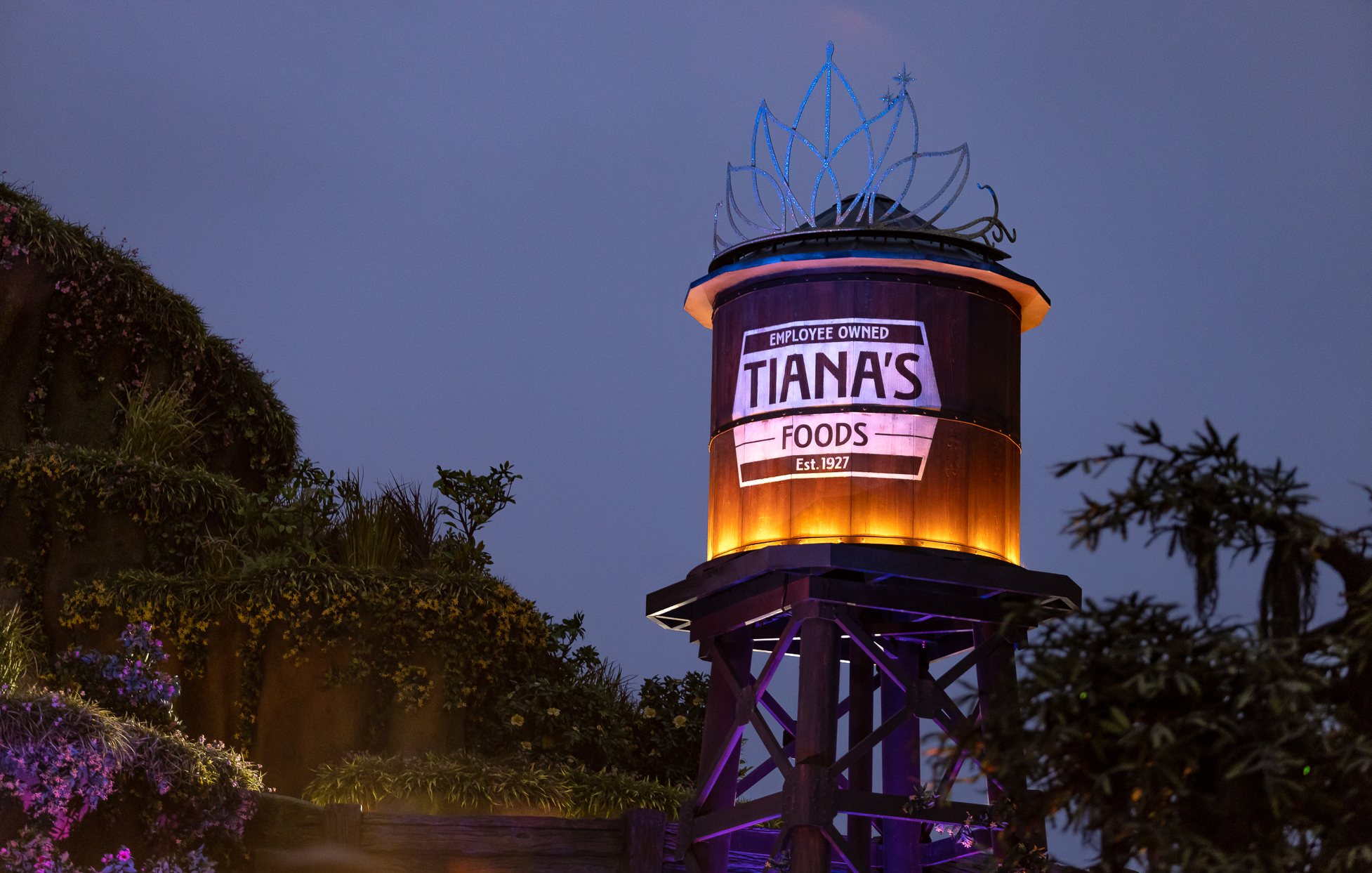 , DISNEYLAND UPDATE: Night Lights Delight, Price Spike & Bayou Hype