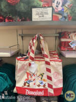 Disneyland-Disney holiday merchandise 2024-purchase with purchase bag promo
