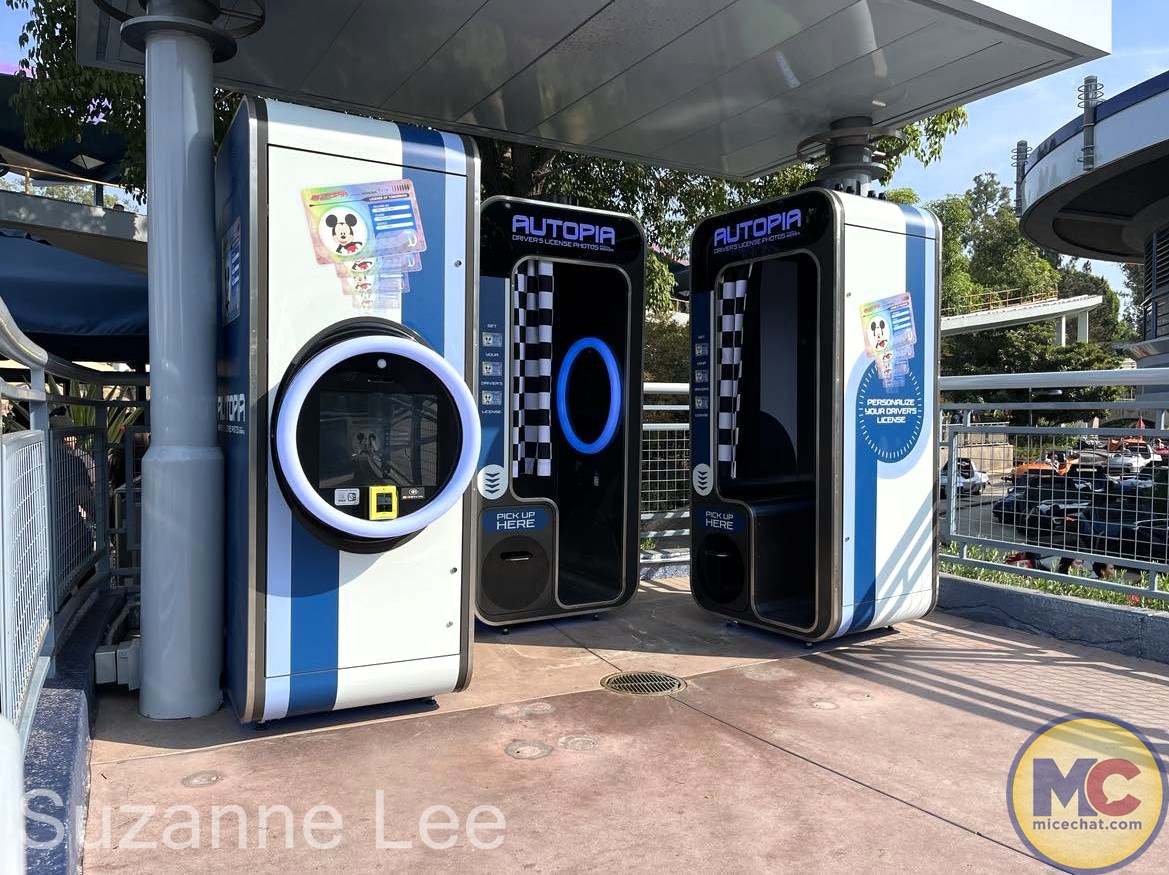 , DISNEYLAND UPDATE: Night Lights Delight, Price Spike & Bayou Hype