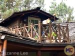 Disneyland-Tianas-Bayou-Adventure-9