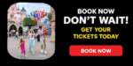 Disneyland Ticket Deal 560