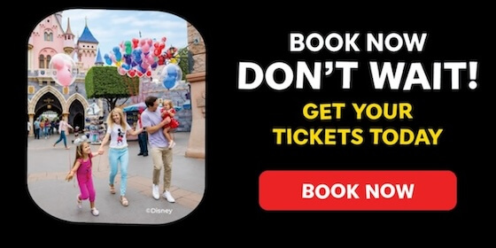 Disneyland Ticket Deal, DISNEYLAND TRAVEL DEALS: Adults $67, Kids $50 & Hotel Discounts!