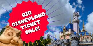 Disneyland Ticket Deal