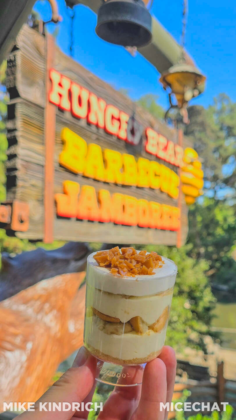 , DISNEYLAND UPDATE: CEO Shock, Napa Rose Reborn & DCA’s 25th Birthday Bash!