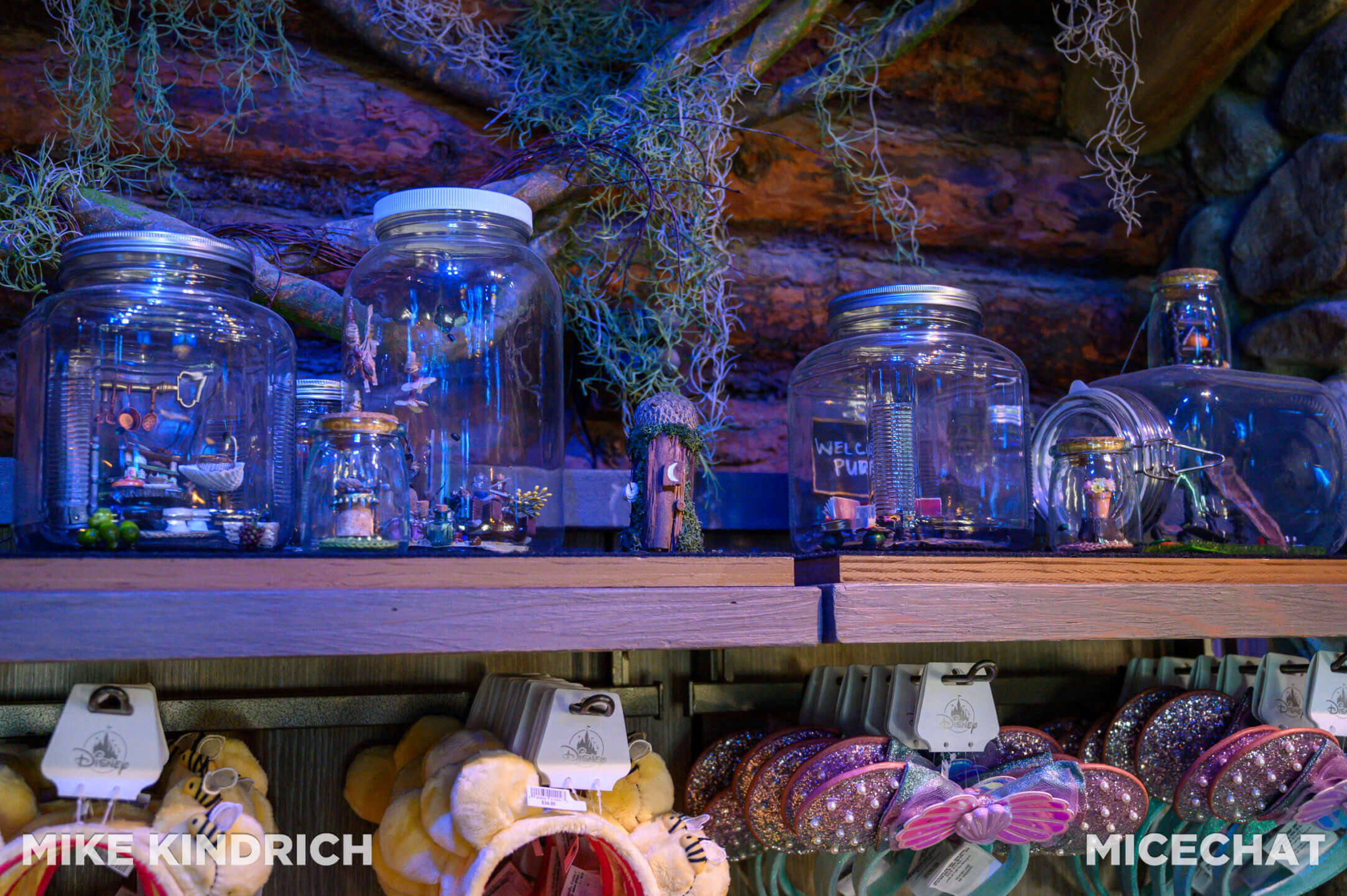 , DISNEYLAND UPDATE: Bayou Debut, BBQ Redo & Holiday x 2