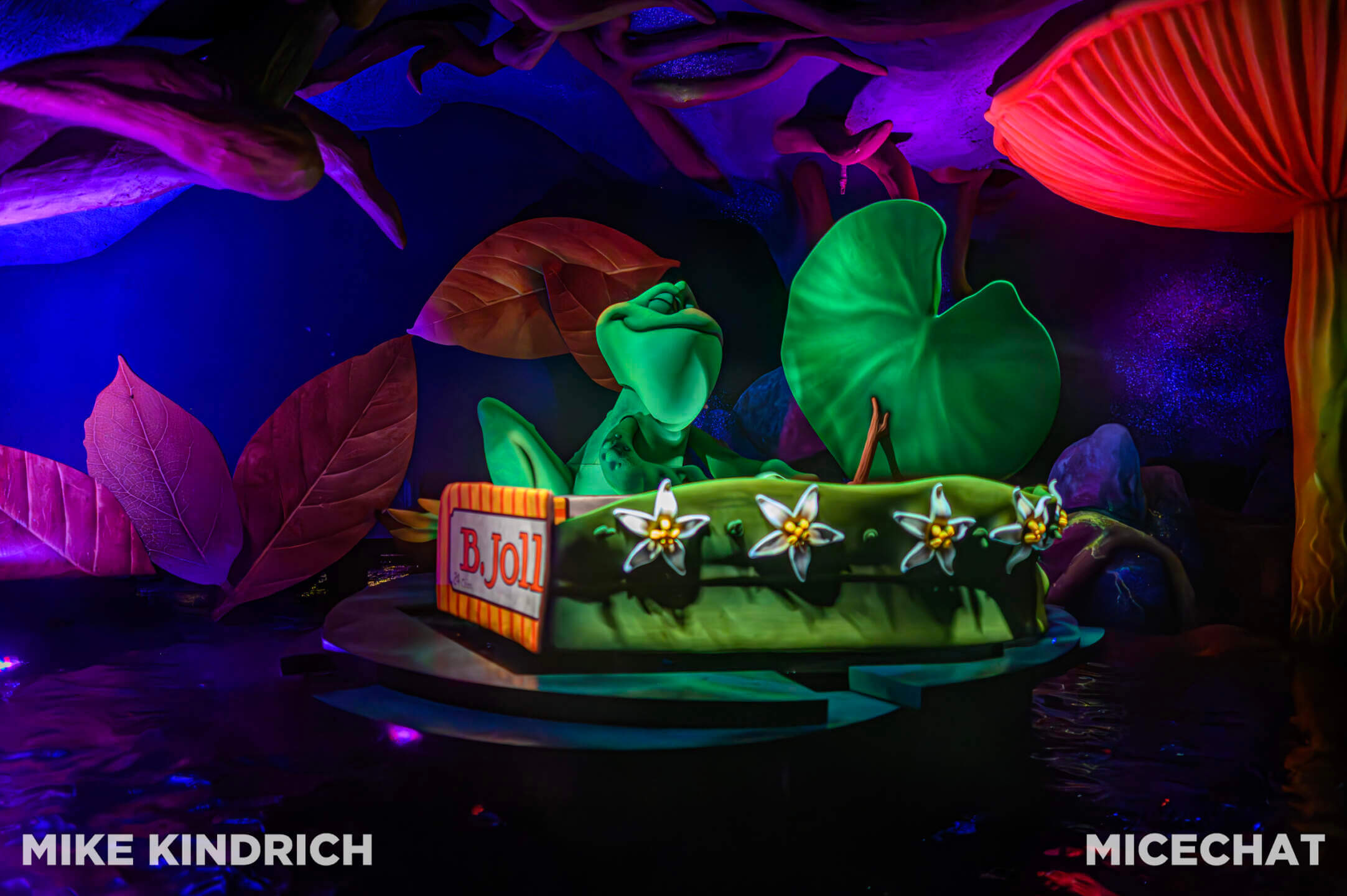 , DISNEYLAND UPDATE: Bayou Debut, BBQ Redo & Holiday x 2