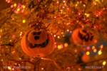 Mike Kindrich_MiceShots_Disneyland_Frontierland_Halloween Tree_Night (1 of 1)-3