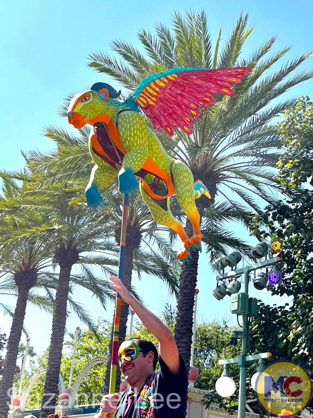 , DISNEYLAND UPDATE: Night Lights Delight, Price Spike & Bayou Hype