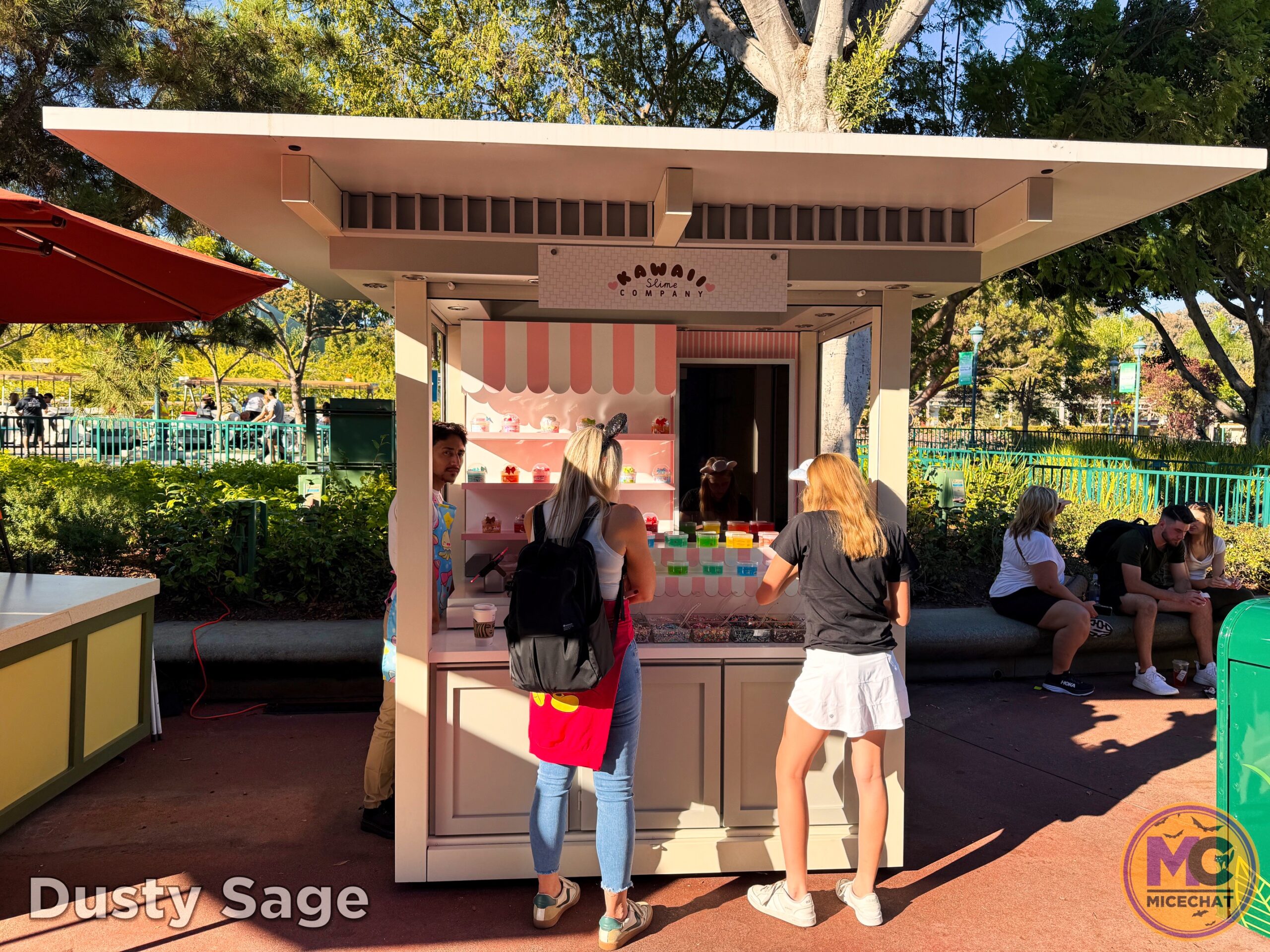 , DISNEYLAND UPDATE: Night Lights Delight, Price Spike & Bayou Hype