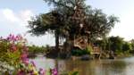 Tarzan’s Treehouse at Hong Kong Disneyland