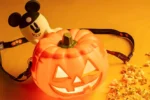 Tokyo Disneyland Halloween Popcorn Bucket