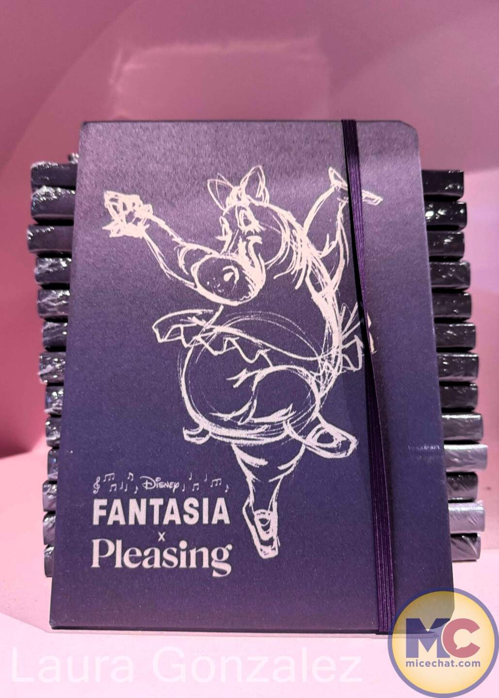 , WDW UPDATE: Pricey Premier, Stormy Season & Christmas Countdown!