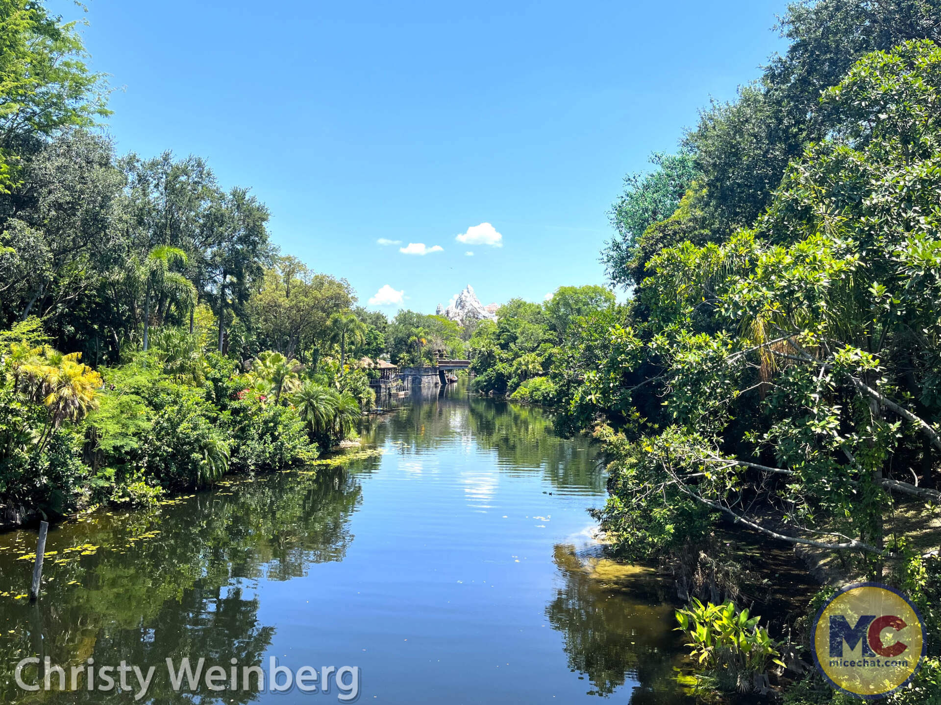 , WDW UPDATE: Pricey Premier, Stormy Season & Christmas Countdown!