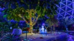 WDW-EPCOT-Behind-the-Seeds-Glimmering-Greenhouses-Tour