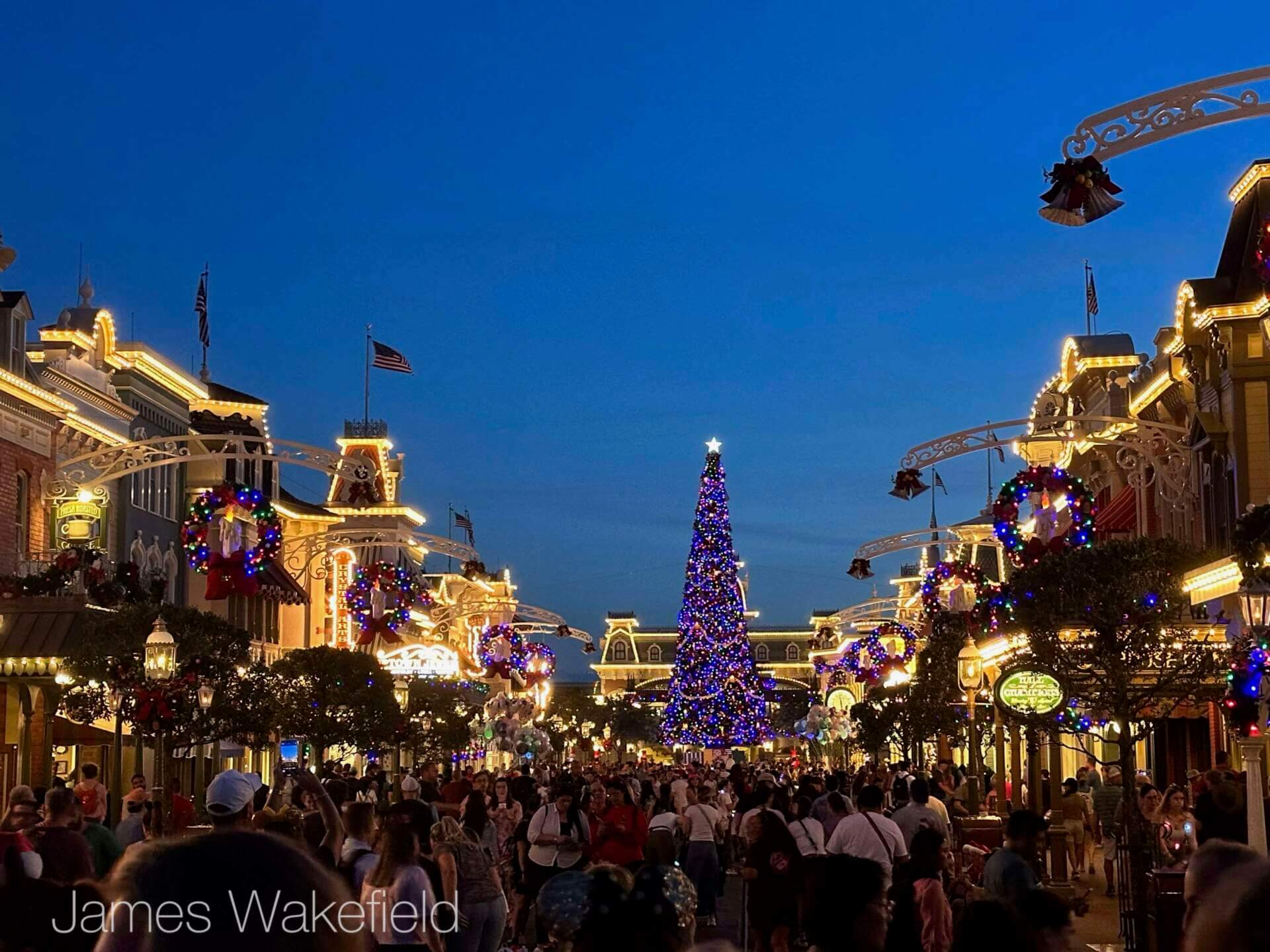 WDW Update, WDW Update: The Muppets Take Hollywood Boulevard!