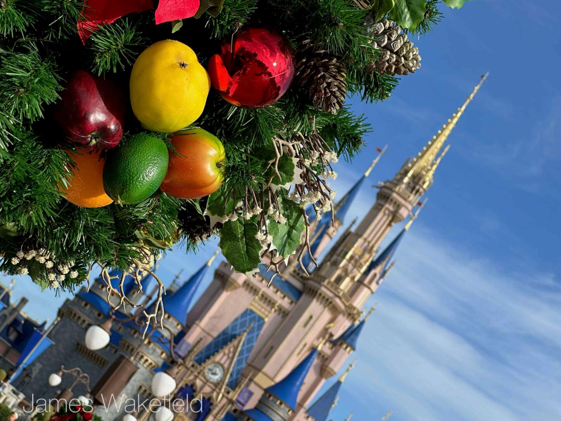 WDW Update, WDW Update: The Muppets Take Hollywood Boulevard!