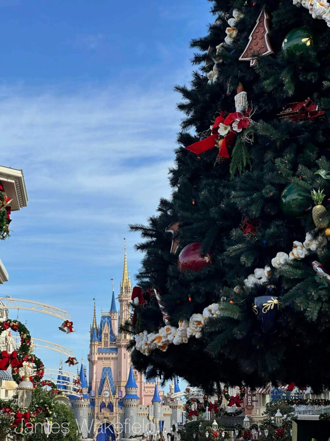 WDW Update, WDW Update: The Muppets Take Hollywood Boulevard!
