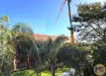 WDW-Island-Tower-Polynesian-Constrcution-2