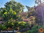 beauty adventureland entry