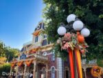 beauty halloween city hall