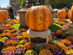 beauty halloween hub tinker bell pumpkin
