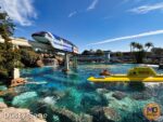 beauty monorail and sub lagoon