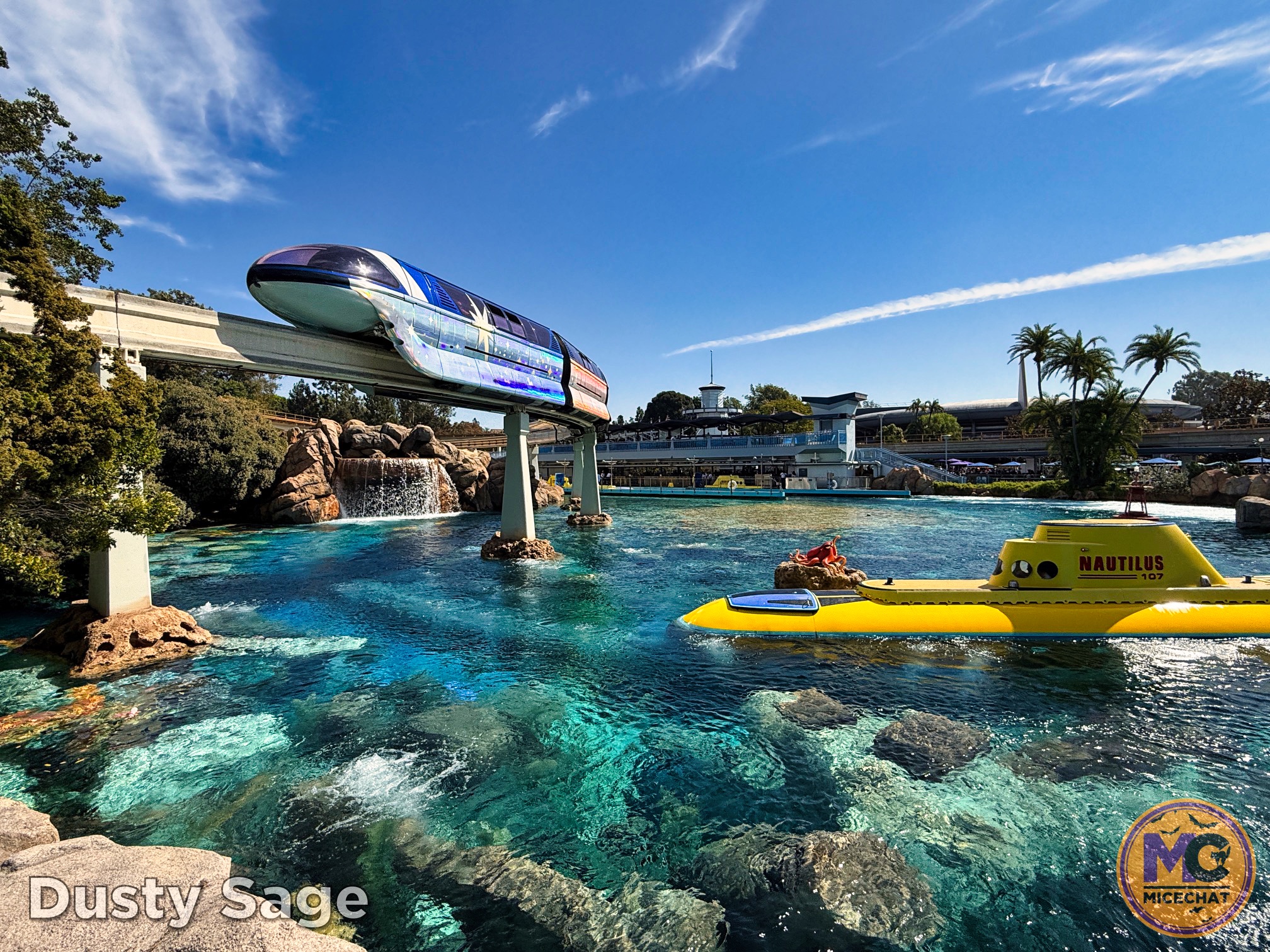 , DISNEYLAND UPDATE: Night Lights Delight, Price Spike & Bayou Hype